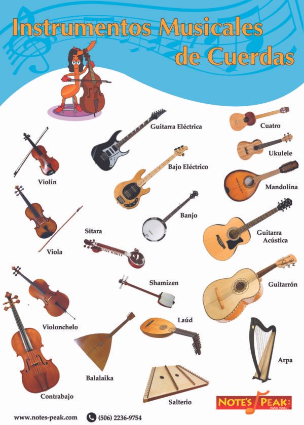 Láminas de familias de instrumentos musicales (cuerda, viento, percusión y teclas) impresas en lona